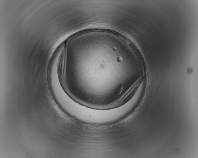 X0000112160981200909041122