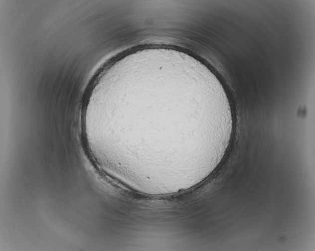 X0000112160984200909041122