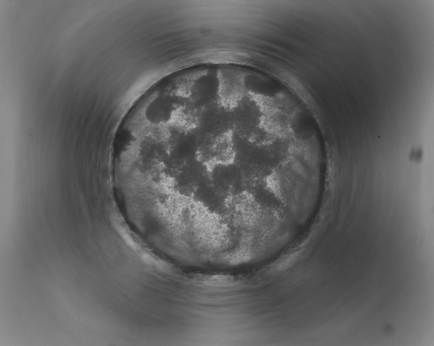 X0000112160986200909041122
