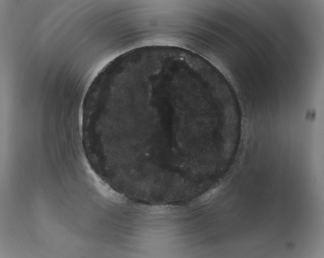 X0000112160988200909041122