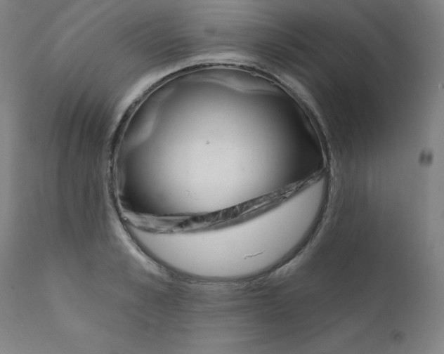 X0000112160989200909041122