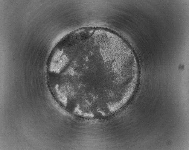 X0000112160990200909041122