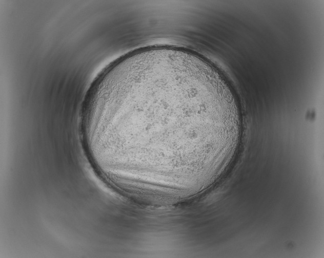 X0000112160991200909041122