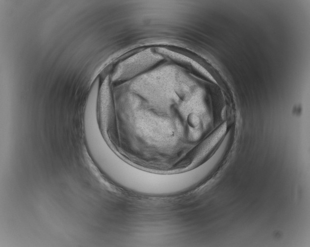 X0000112160993200909041122