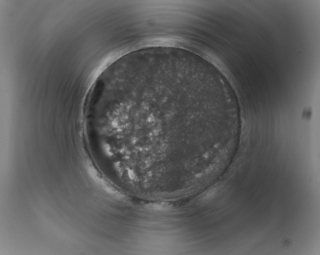X0000112160994200909041122