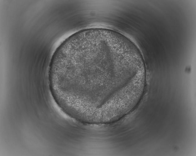 X0000112160995200909041122