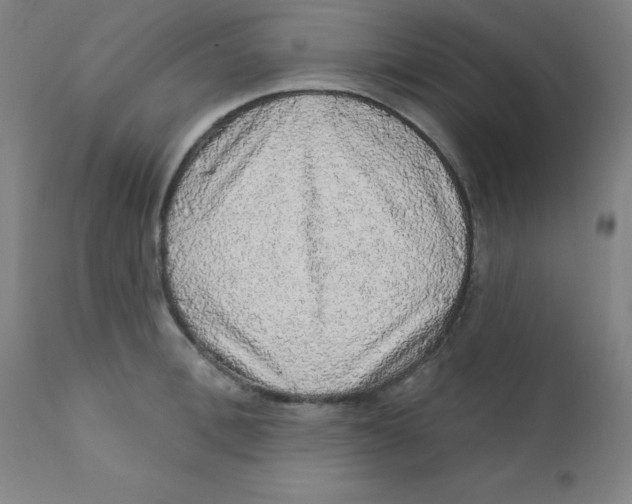 X0000112160996200909041122