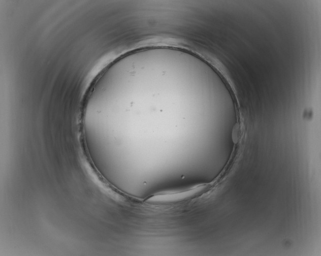 X0000112160997200909041122