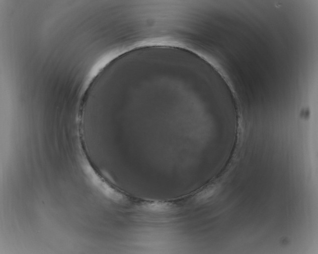X0000112160998200909041122