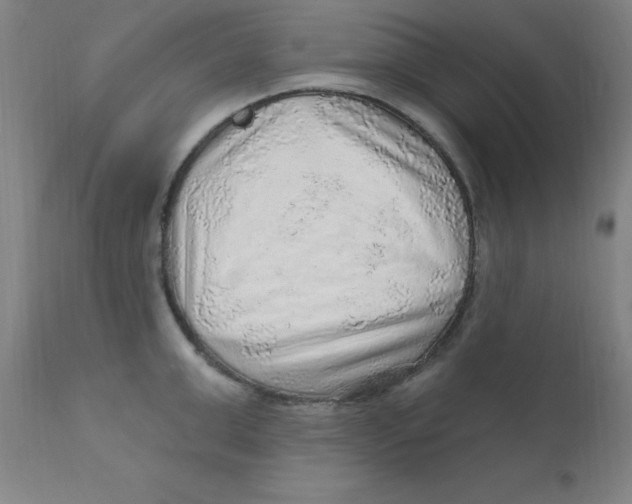 X0000112160999200909041122