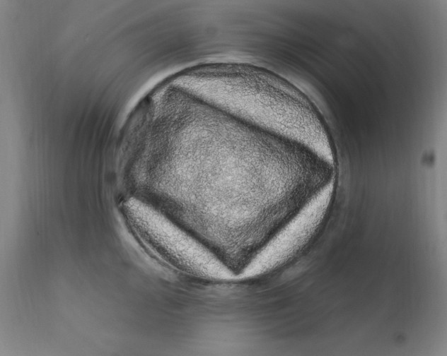 X0000112161000200909041122