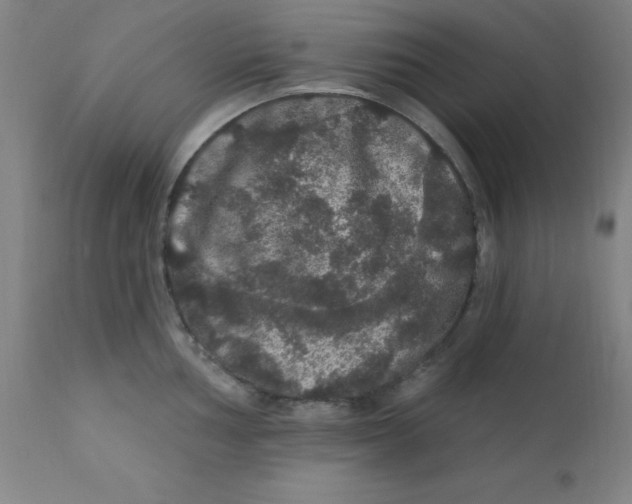 X0000112161002200909041122
