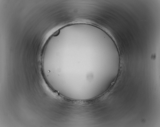 X0000112161003200909041122