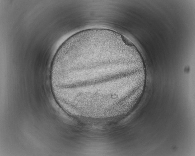 X0000112161004200909041122