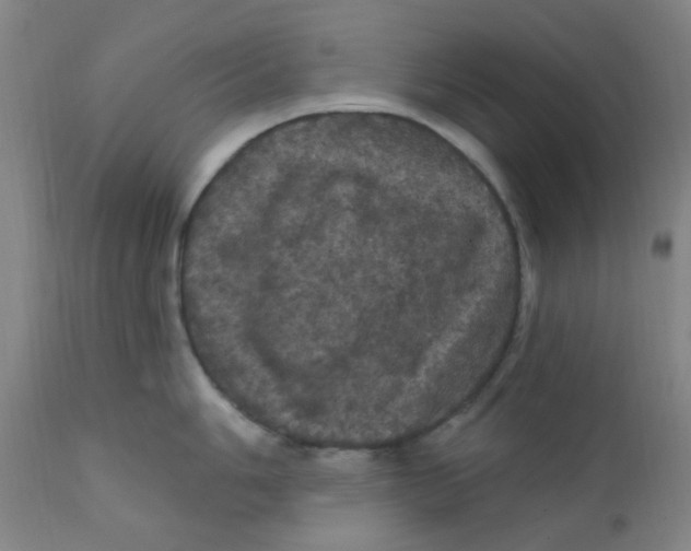 X0000112161006200909041122