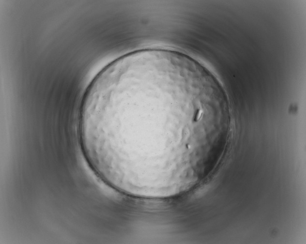X0000112161007200909041122