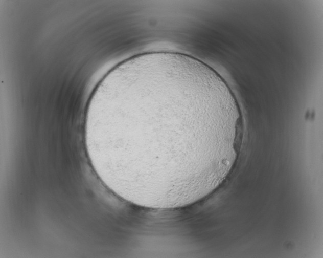 X0000112161008200909041122