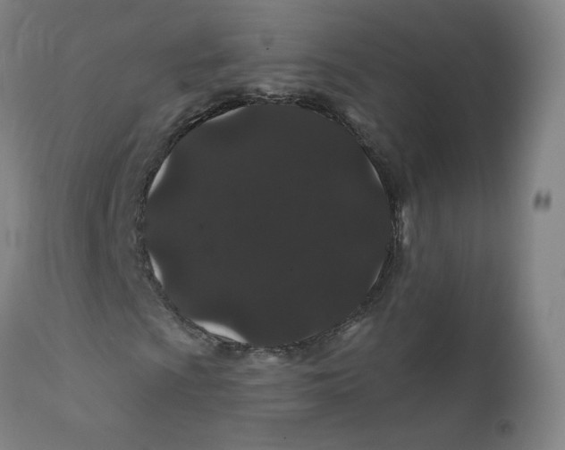 X0000112161009200909041121
