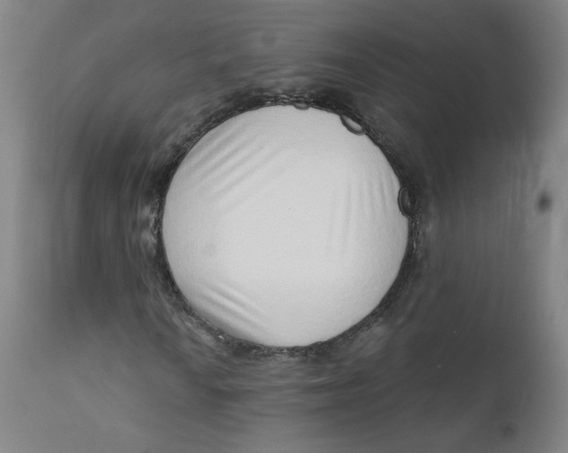 X0000112161010200909041121
