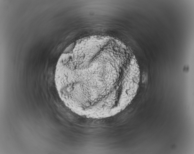 X0000112161011200909041121