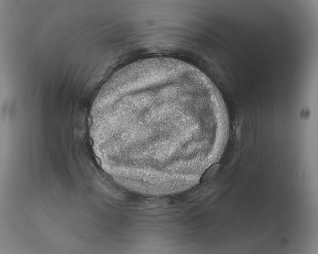 X0000112161012200909041121
