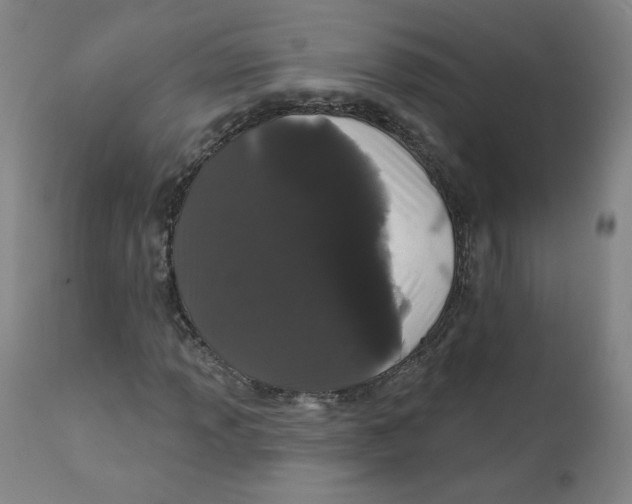 X0000112161013200909041121