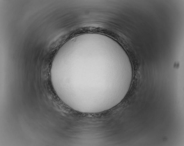 X0000112161014200909041121