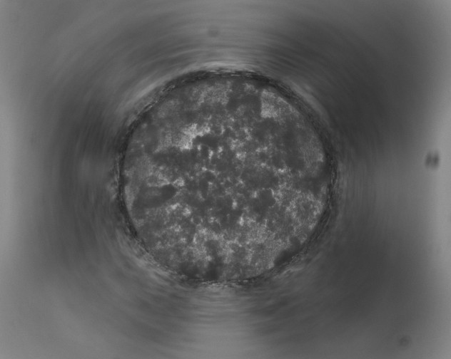 X0000112161015200909041121