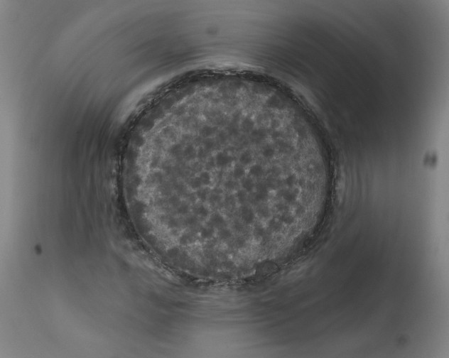 X0000112161016200909041121