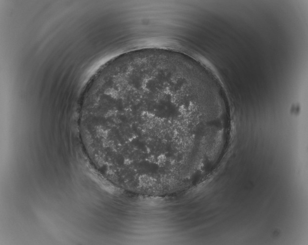 X0000112161019200909041121