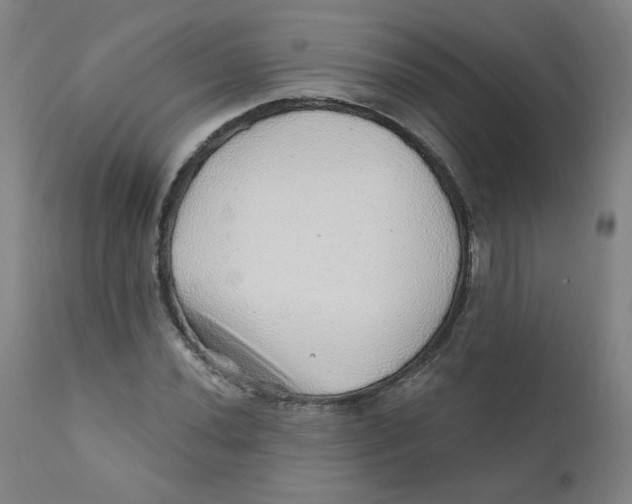 X0000112161020200909041121