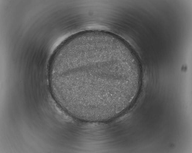 X0000112161022200909041121