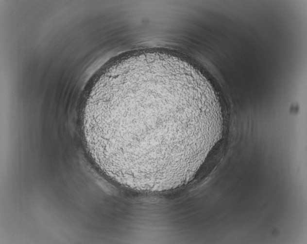 X0000112161023200909041121