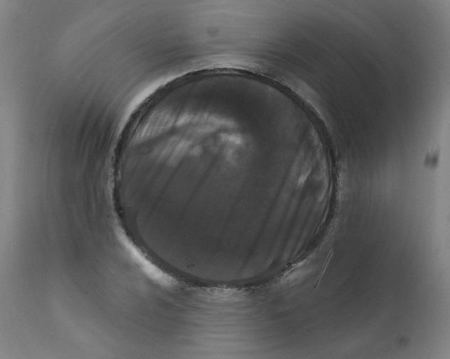 X0000112161024200909041121