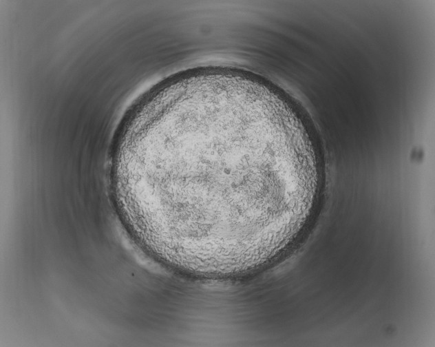 X0000112161029200909041121