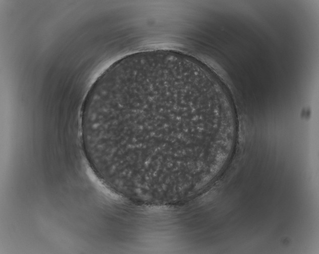X0000112161031200909041121