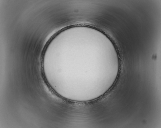 X0000112161032200909041121