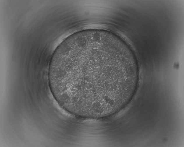 X0000112161033200909041121