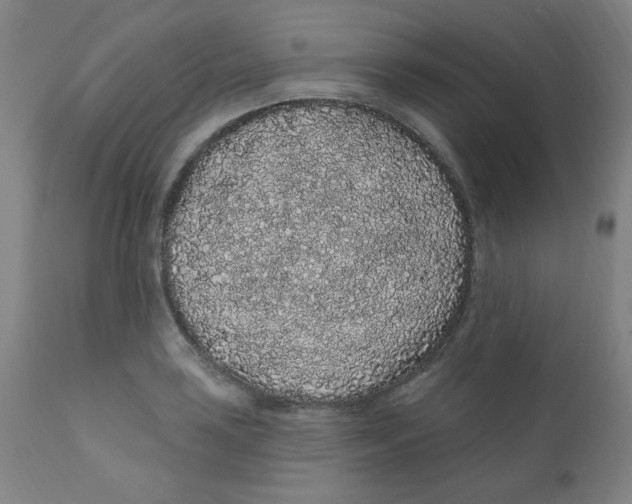 X0000112161035200909041121