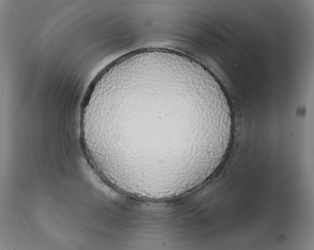 X0000112161036200909041121