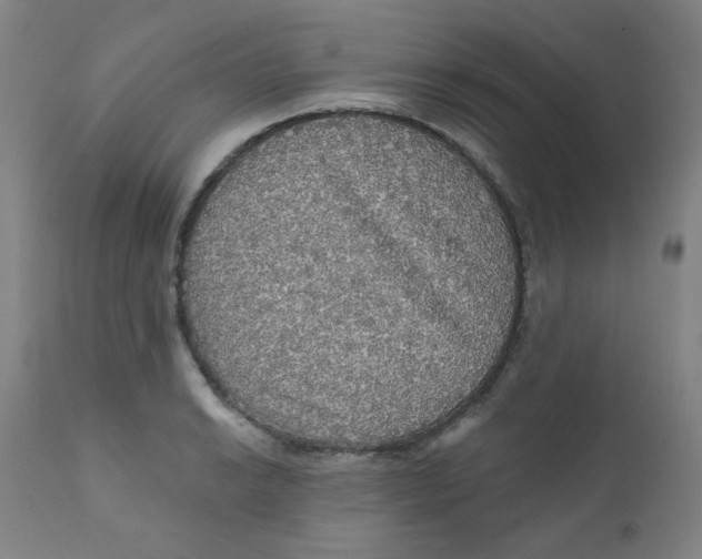 X0000112161038200909041121