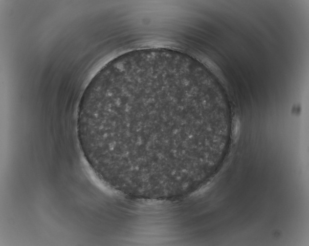 X0000112161039200909041121