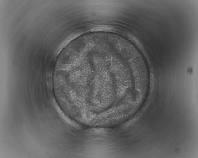 X0000112161041200909041121
