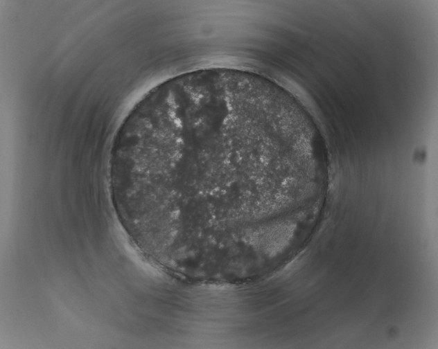 X0000112161043200909041121