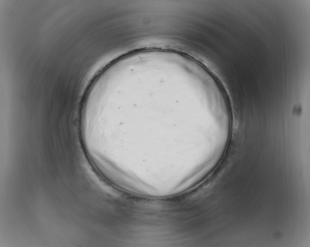 X0000112161045200909041122