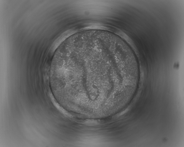 X0000112161049200909041122