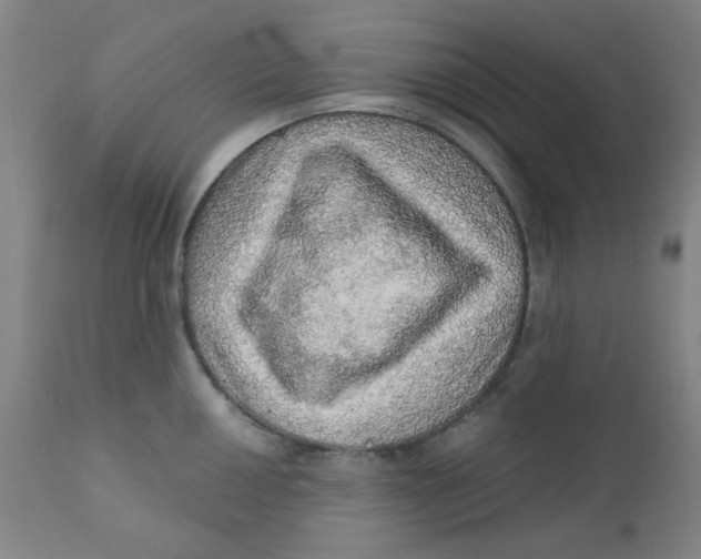 X0000112161050200909041122
