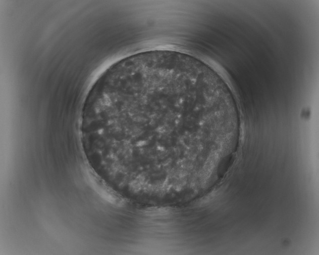 X0000112161051200909041122