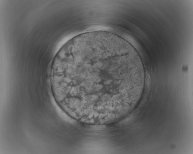 X0000112161055200909041122
