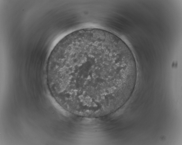 X0000112161056200909041122